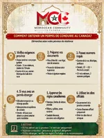 canadian_drivers_license_infographic.webp