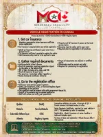 vehicle_registration_infographic.webp