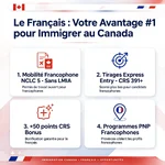 french_immigration_advantage.webp french_immigration_advantage.webp
