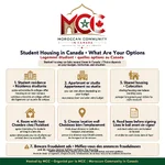 student_housing_infographic.webp