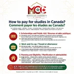 moroccan_community_infographic.webp