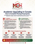 academic_upgrading_infographic.webp