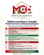 online_learning_infographic.webp