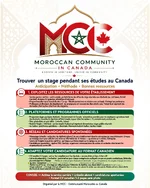 mcc_internship_infographic.webp